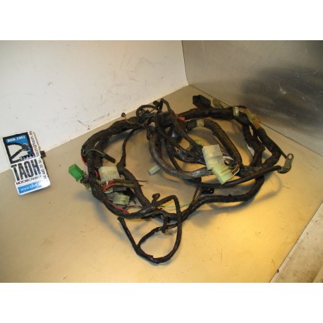 Cableado Kawasaki ZX-10 1989 Tomcat