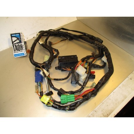 Cableado Suzuki GSF Bandit 600 1999