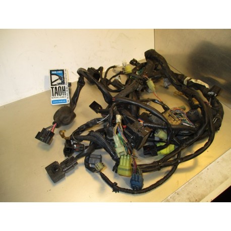Cableado Suzuki GSR 600 2006