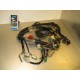 Cableado Suzuki DR 600