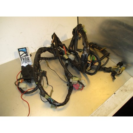 Cableado Suzuki GSX-RW 1100 