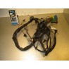 Cableado Suzuki TU 250