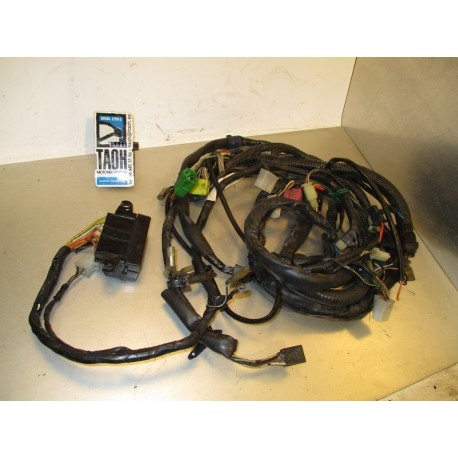 Cableado Suzuki GSX-RW 750