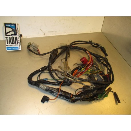 Cableado Suzuki RG 125