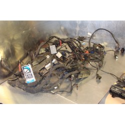 Cableado BMW R 1200 GS 2006
