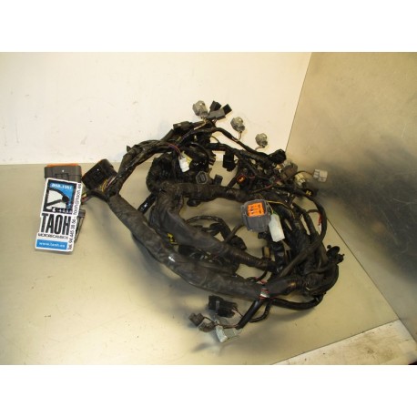 Cableado Kawasaki ZX6 R 2008