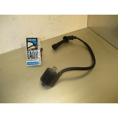 Bobina delantera Suzuki V-Strom 650 2005