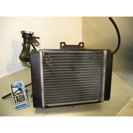 Radiador Daelim S2 250 2008