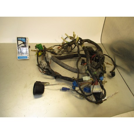 Cableado Suzuki GSX-F 600 1990