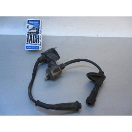 Bobina Honda Africa Twin 650