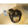 Cableado Honda NSR 125 R 1991