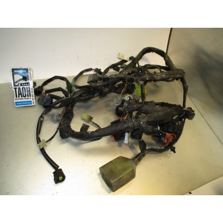 Cableado Suzuki GSX-R 600 2005