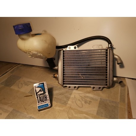 Radiador Peugeot Elystar 125 2006