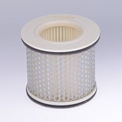 Filtro de aire FZR 600
