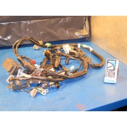 Cableado Honda CBR 600 RR 2005-2006
