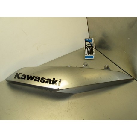 Bajo deposito izquierda Kawasaki Z 1000 2013
