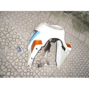 Frontal GS 500 E Puig 