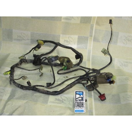 Cableado Honda CBF 600 S 2005