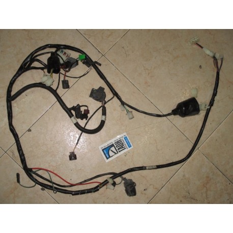 Cableado SYM Symphony 125 SR 2018