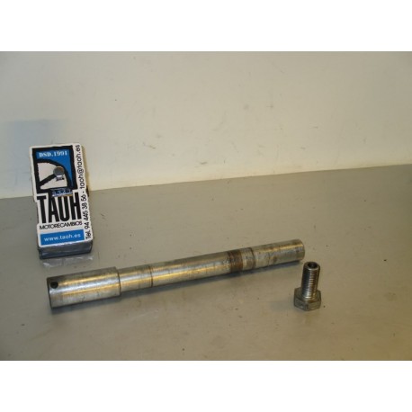 Eje delantero Aprilia Futura 125 AF1