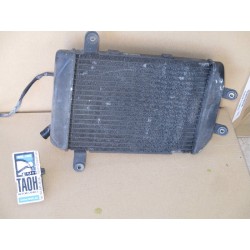 Radiador Suzuki Burgman 250 2000