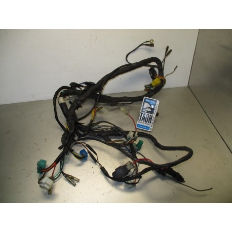 Cableado Hyosung GT 250 R Comet 2006 Naked