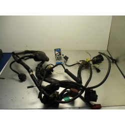 Cableado Honda CBF 250 2006