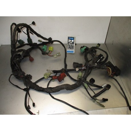Cableado Suzuki V-Strom 650 2006
