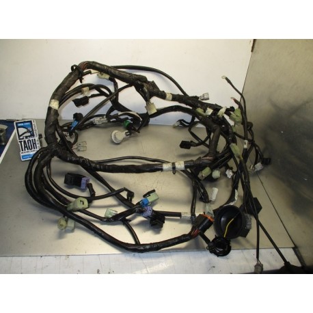 Cableado X-Max 250 11