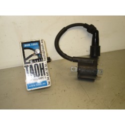 Bobina Yamaha X-Max 250 2011