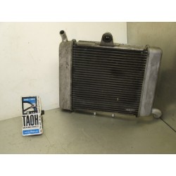 Radiador Forza 300 2017