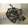 Cableado Suzuki GSF Bandit 600 2004