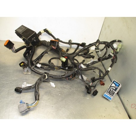 Cableado Suzuki V-Strom 650 2018