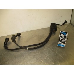 Bobina Suzuki V-Strom 650 2018 (FC)