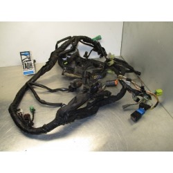 Cableado Suzuki Volusia 800 2008