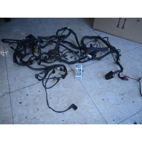 Cableado Piaggio X9 500