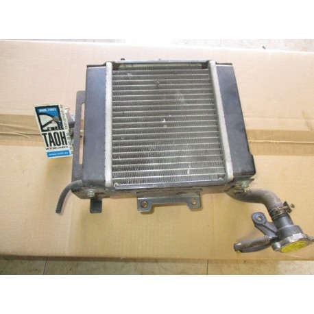 Radiador Kymco Grand Dink 125 2008