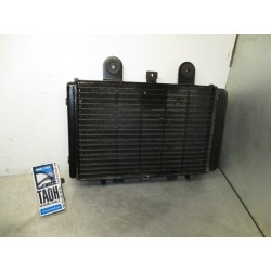 Radiador Thunderbird