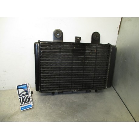 Radiador Thunderbird