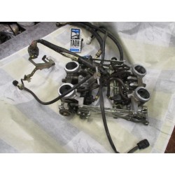 Inyeccion Pan European 1300