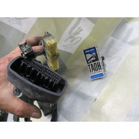 Cableado principal Pan European 1300