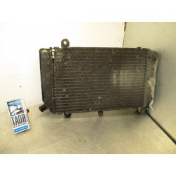 Radiador Silver Wing 600