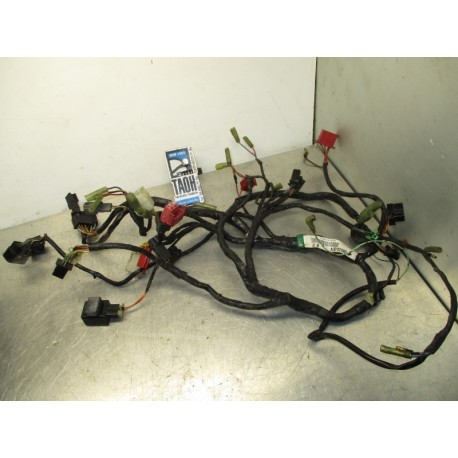 Cableado Kawasaki Vulcan 500 1997-2002