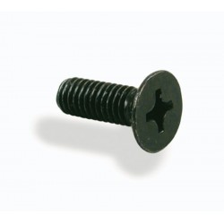 Tornillo para tapa bomba NISSIN M4x12 ( 2 uds)