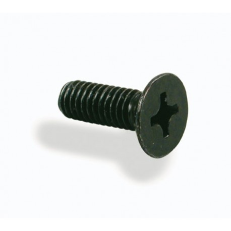 Tornillo para tapa bomba NISSIN M4x12 ( 2 uds)