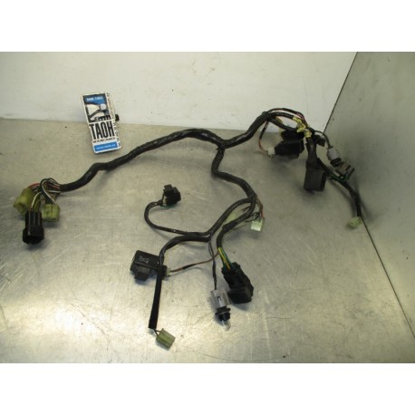Cableado delantero Yamaha FJR 1300 2003