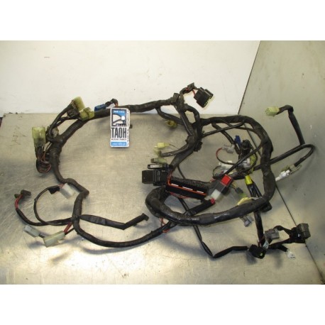 Cableado FJR 1300 03