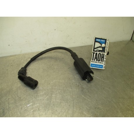 Bobina Suzuki Burgman 400 2000