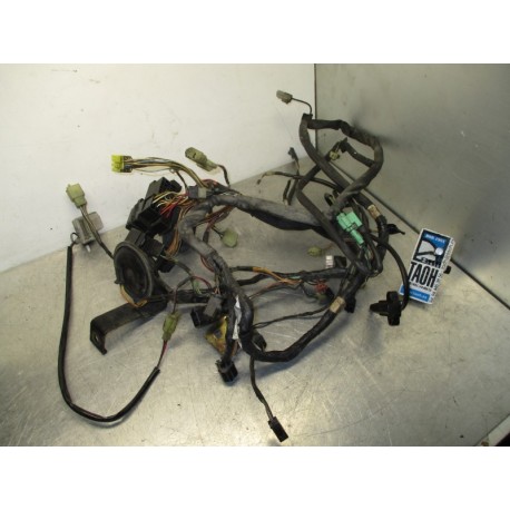 Cableado Suzuki Burgman 400 2000