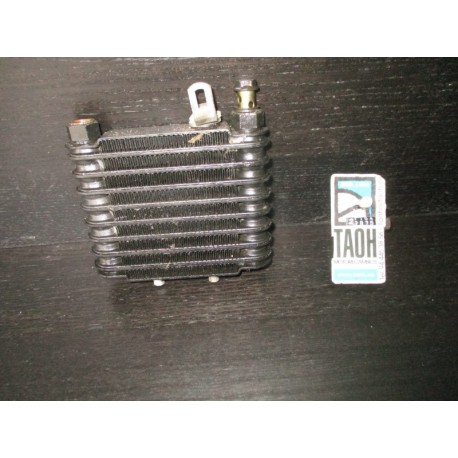 Radiador de aceite Cagiva River 500 1999